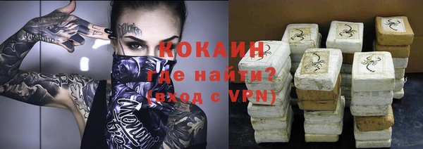стафф Касимов