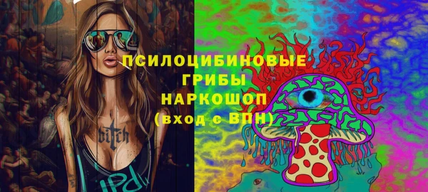 стафф Касимов