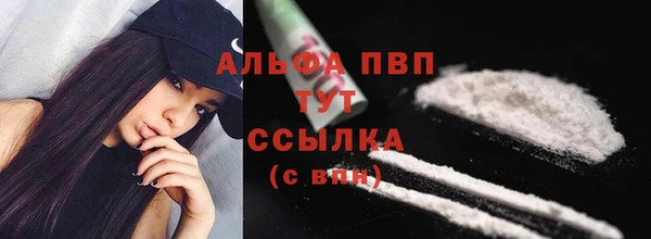 стафф Касимов