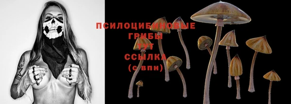 мдпв Карталы