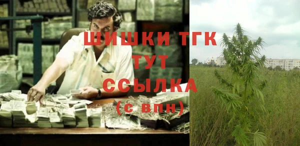 стафф Касимов