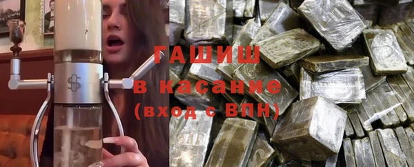 стафф Касимов
