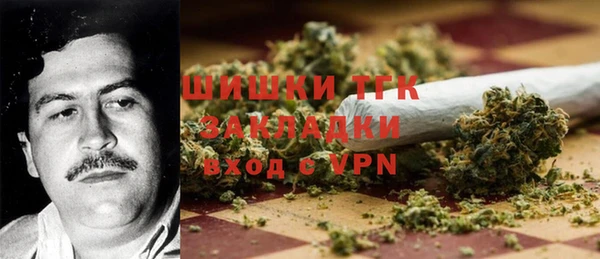 стафф Касимов