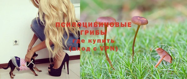мдпв Карталы