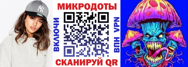Галлюциногенные грибы Psilocybe  Купить где  Губаха 